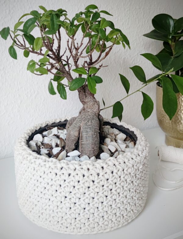 Crochet or Macrame
